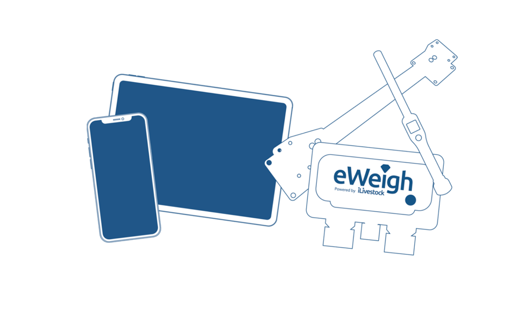 eWeigh bundle graphic