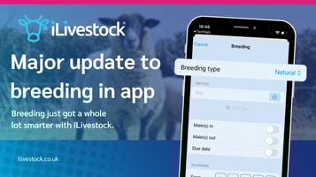 Major Update to Breeding in iLivestock