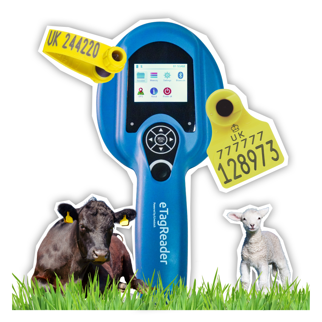 Hero Image Livestock Farming Reading Tools | iLivestock Hero Image Livestock Farming Reading Tools | iLivestock