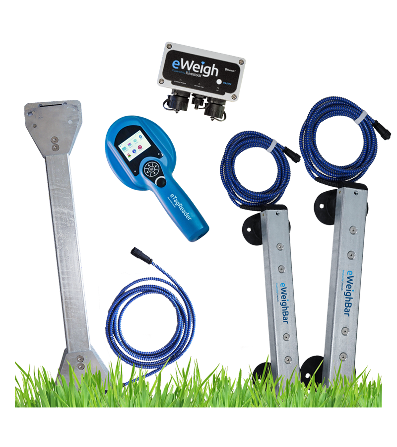 Hero Image Livestock Farming Weighing Tools | iLivestock