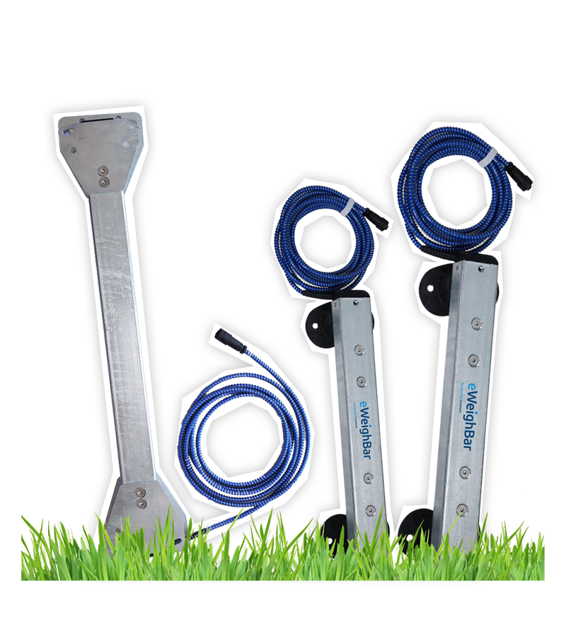 Hero image Livestock Weighing Load Bars | iLivestock