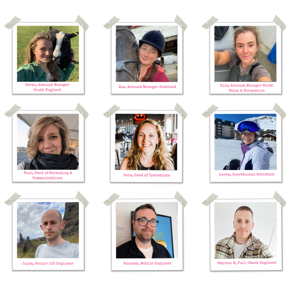 iLivestock team collage full 2
