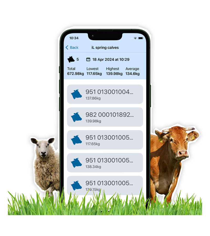 Hero Image Free eWeigh Livestock Weighing Software Hero Image Free eWeigh Livestock Weighing Software