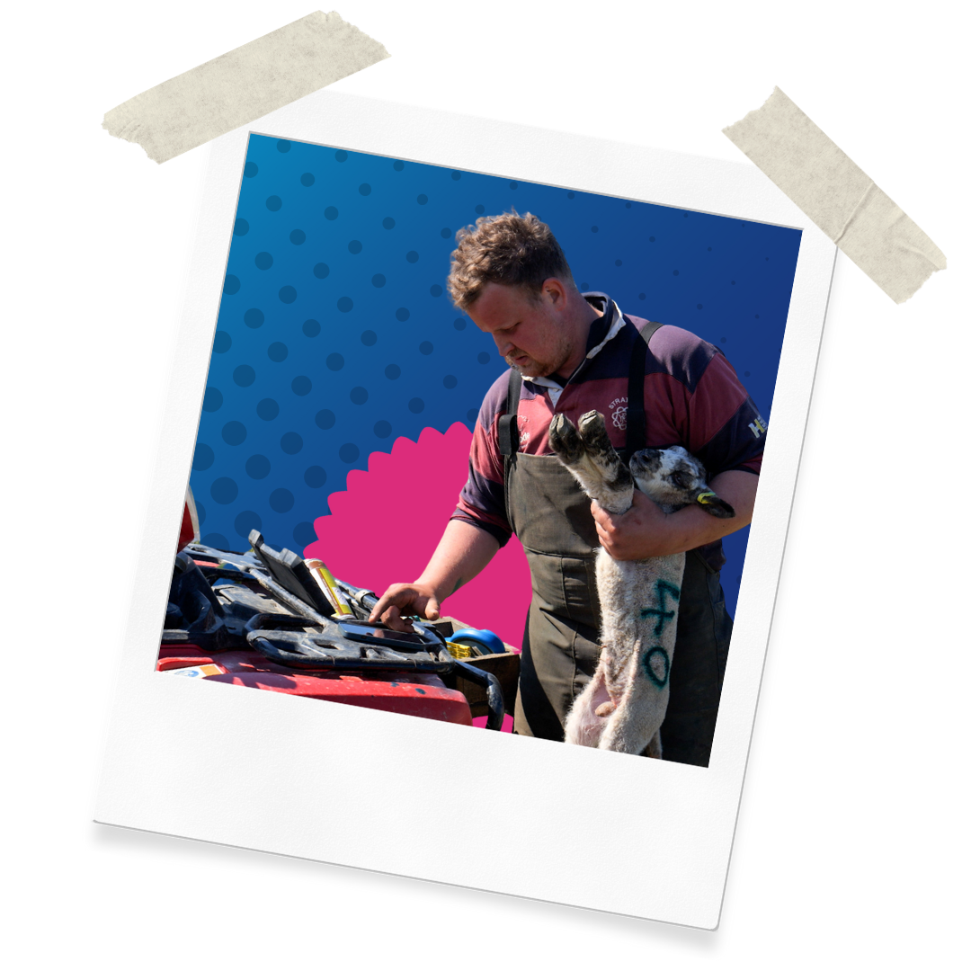 Website Assets (12)