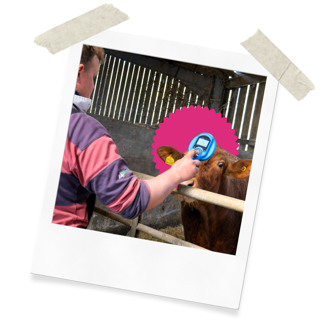 Website Assets (25)