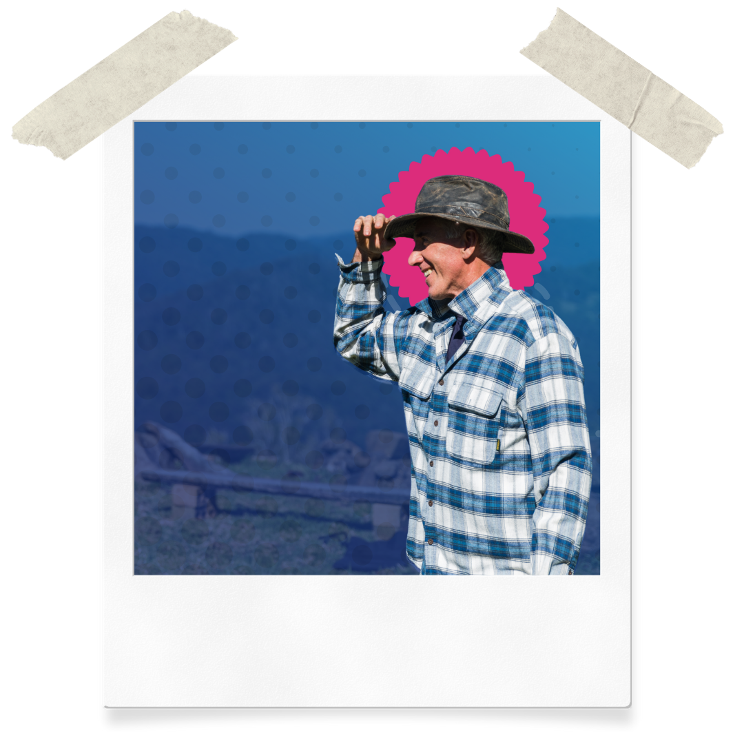 Website Assets (30)