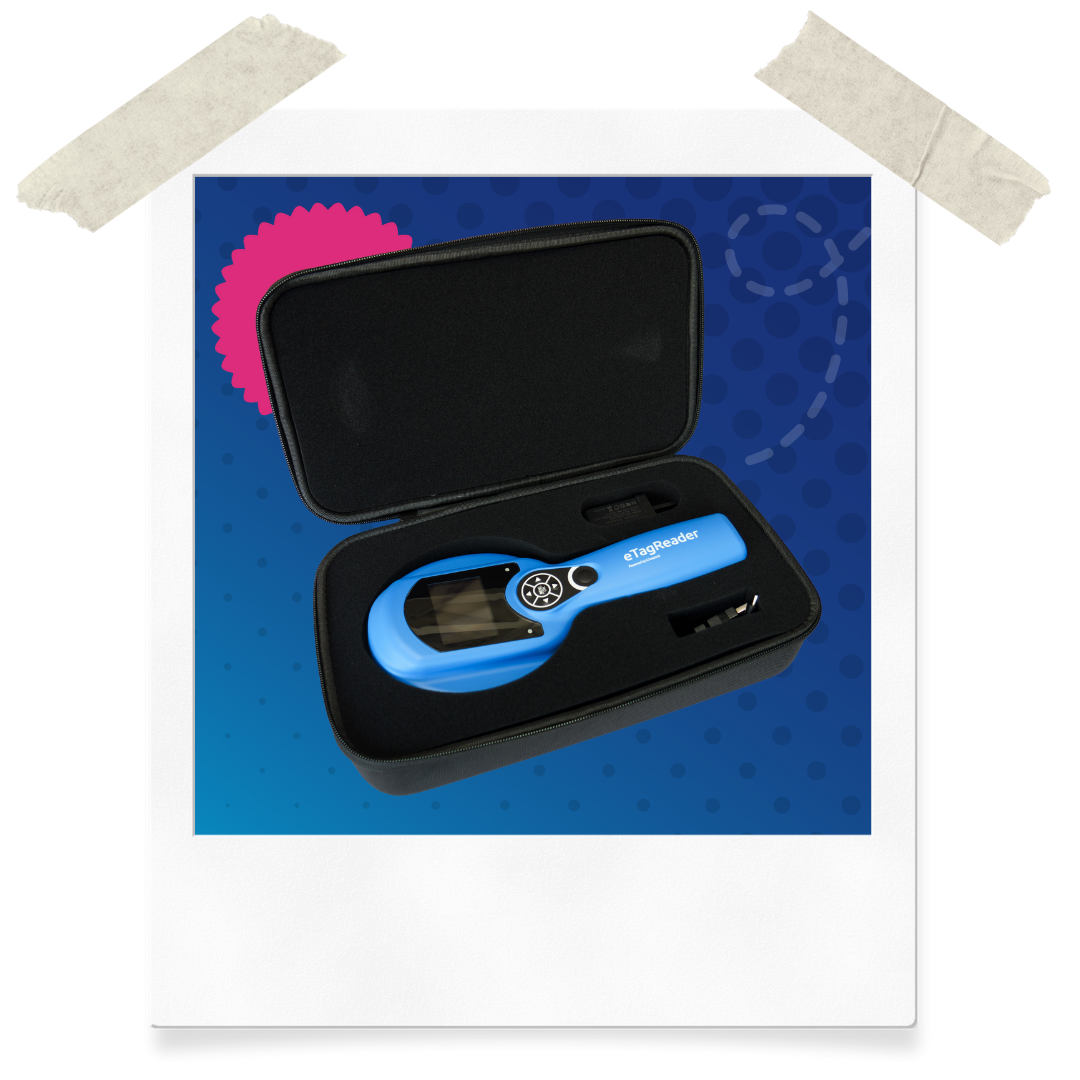Website Assets (31)