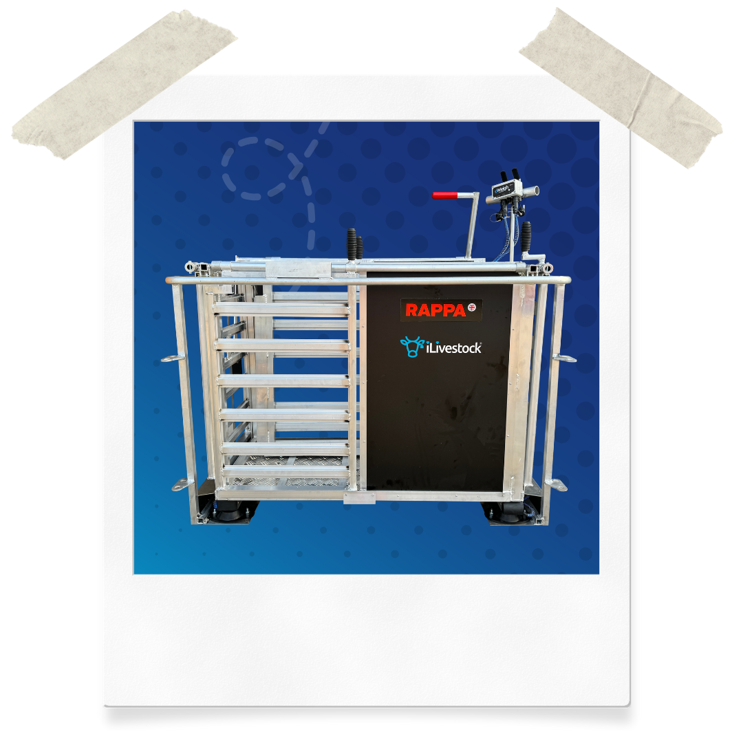 Website Assets (32)