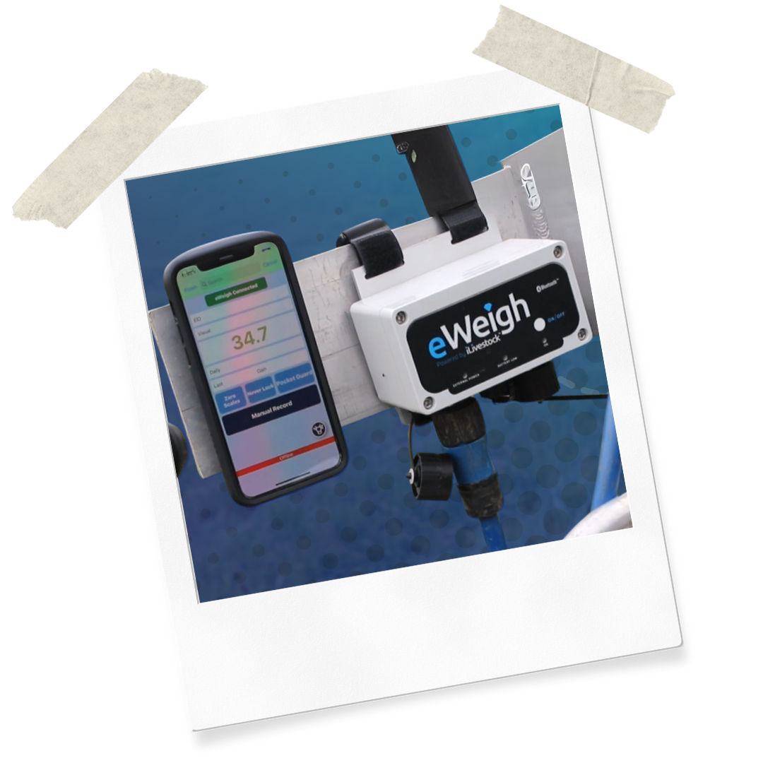 Website Assets (35)