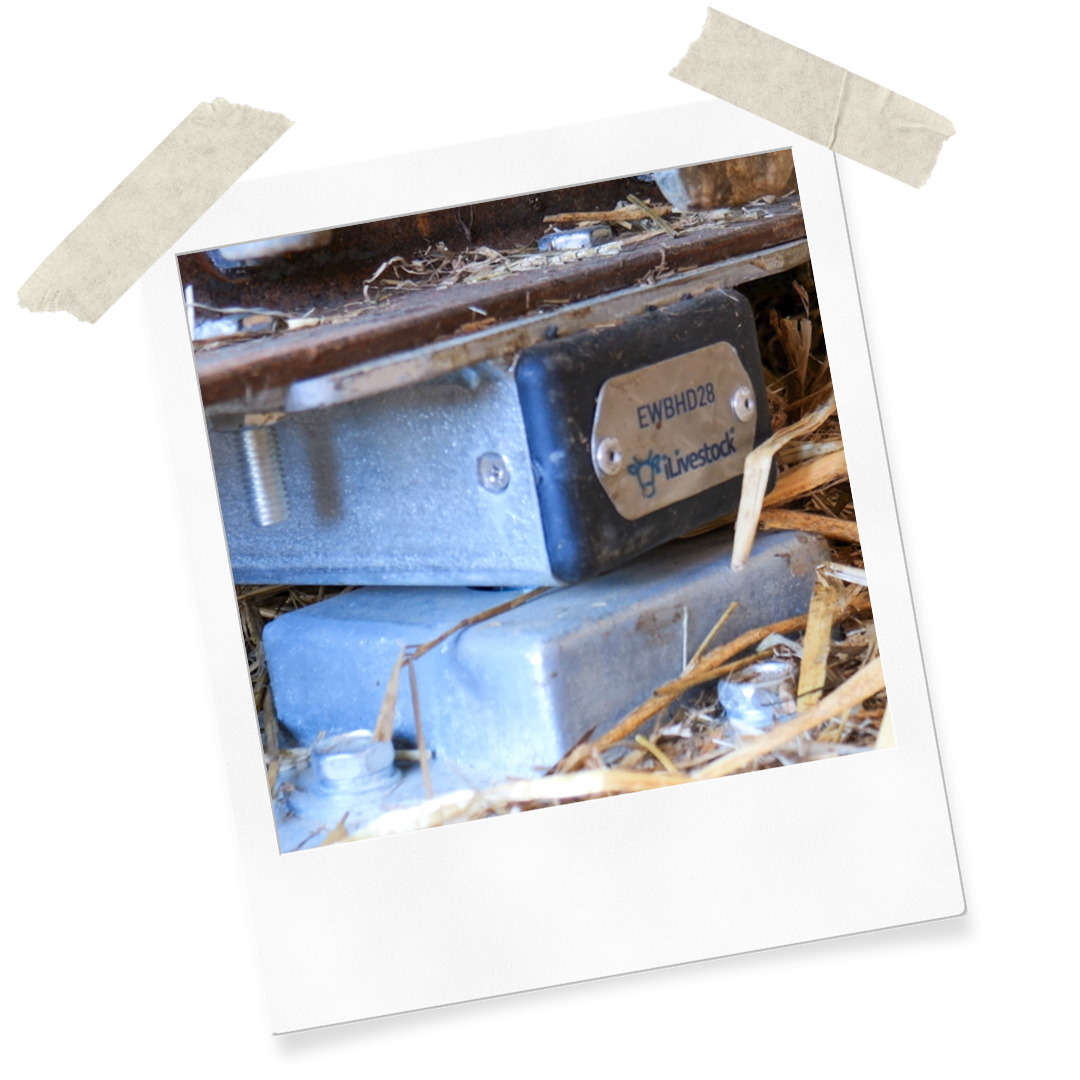 Website Assets (37)
