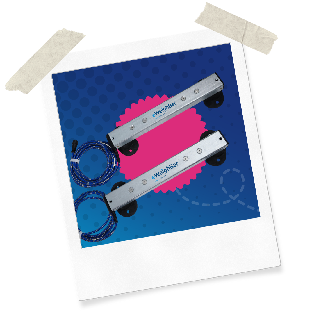 Website Assets (38)