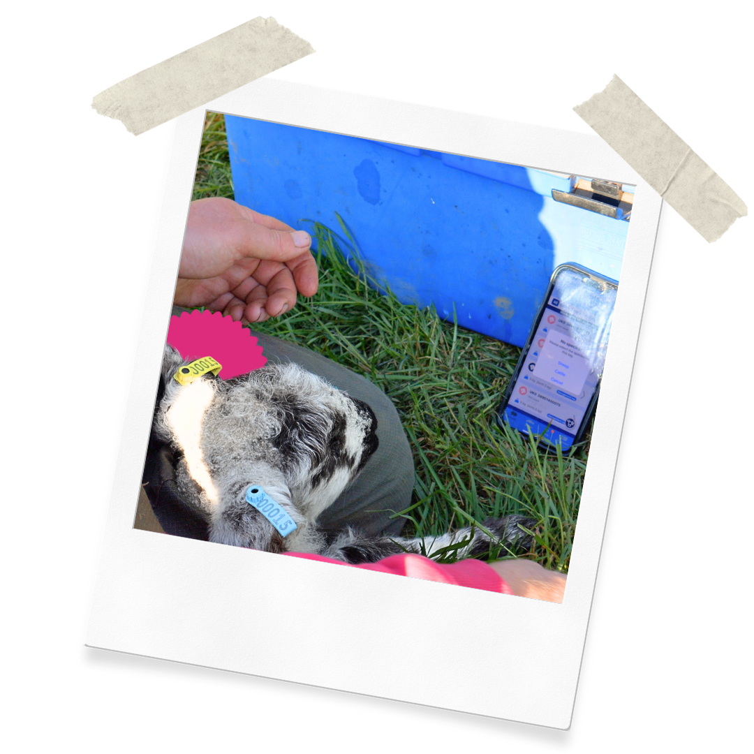 Website Assets (41)