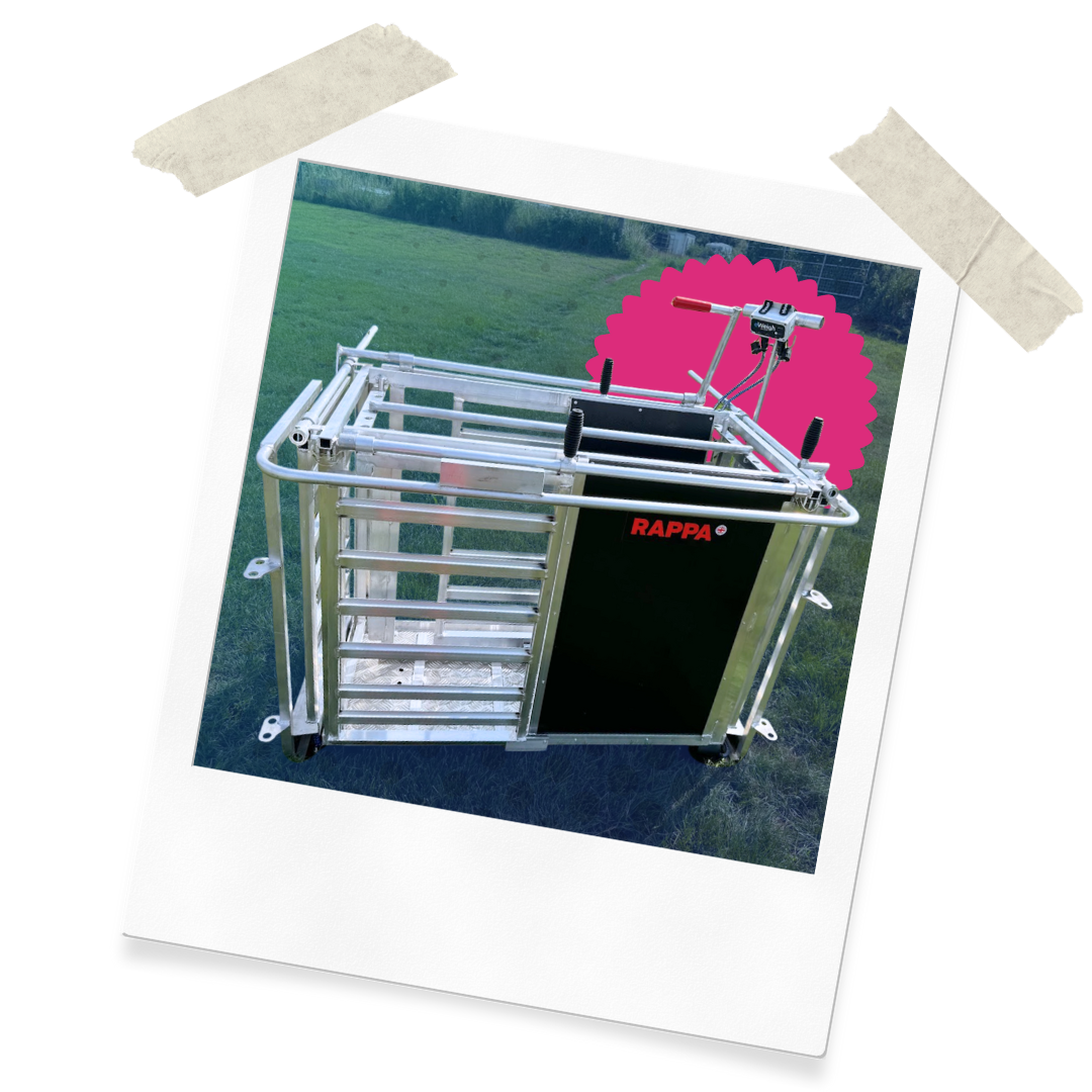 Website Assets (42)