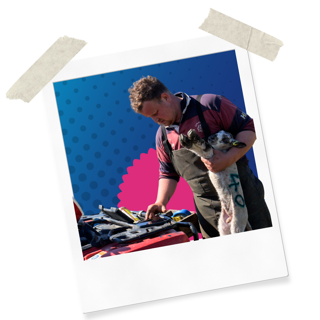Website Assets (7)