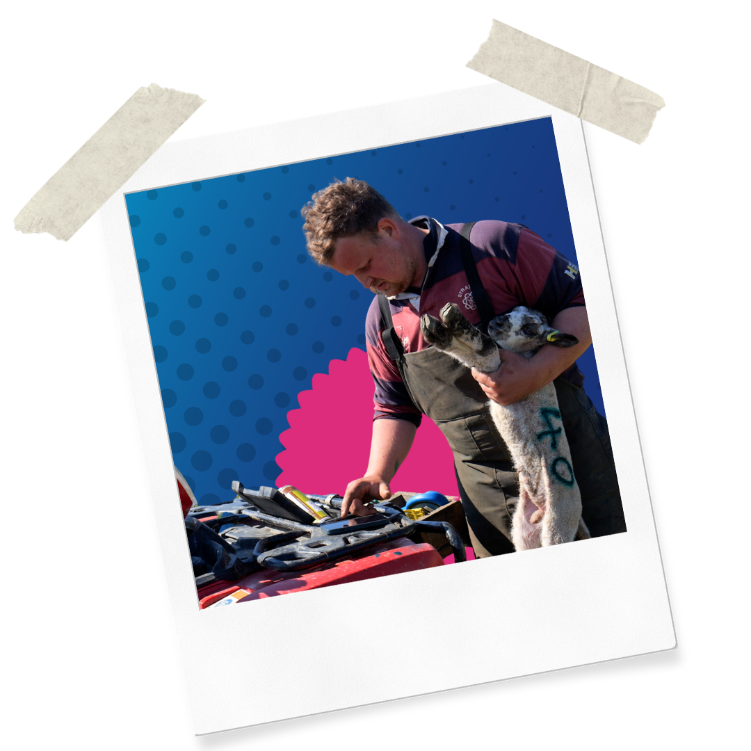 Website Assets (8)