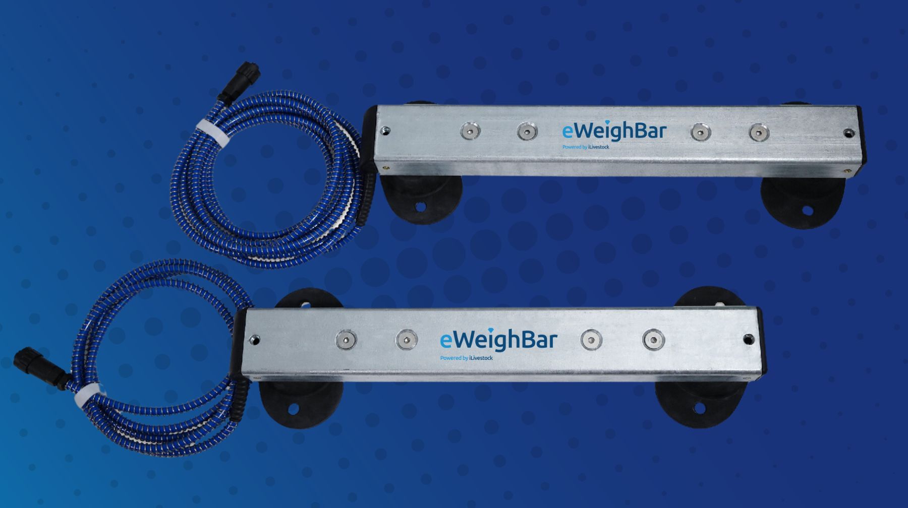 eWeighBars 800